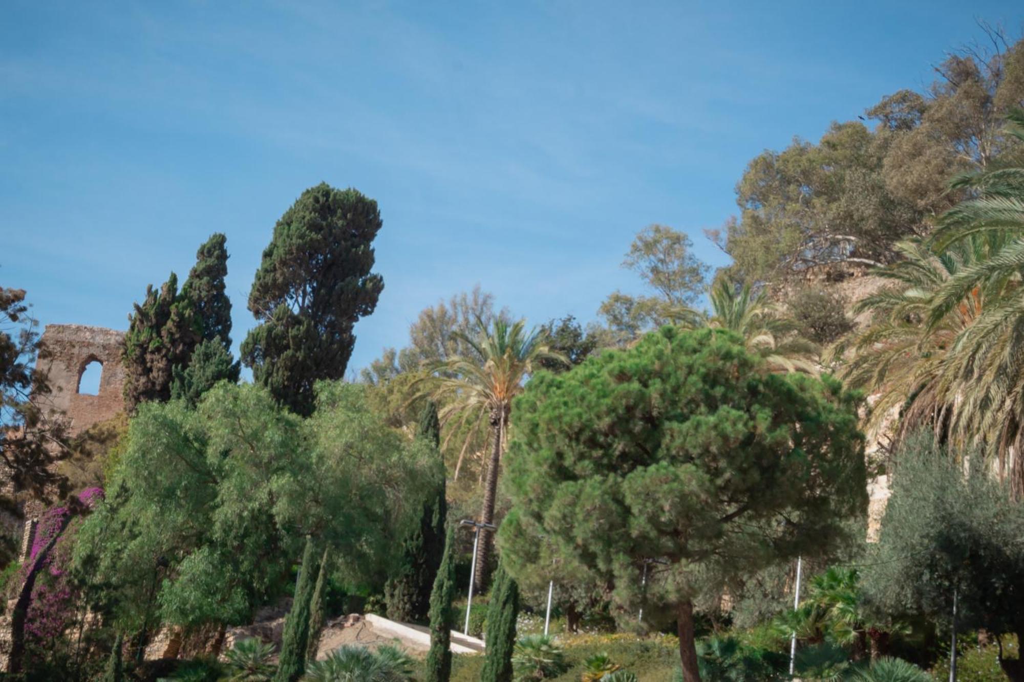 מאלגה Picasso Premium Apartment מראה חיצוני תמונה